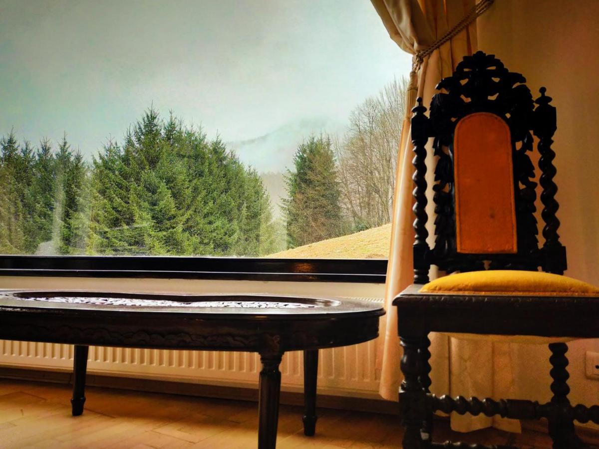 Villa & Spa 4Temporadas - Plaiul Foii Zărneşti Eksteriør billede