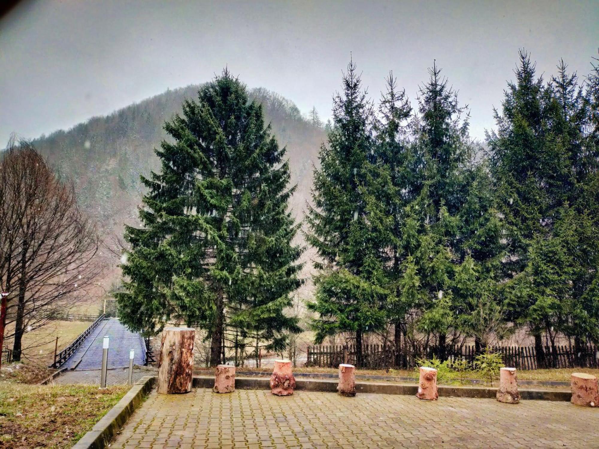 Villa & Spa 4Temporadas - Plaiul Foii Zărneşti Eksteriør billede